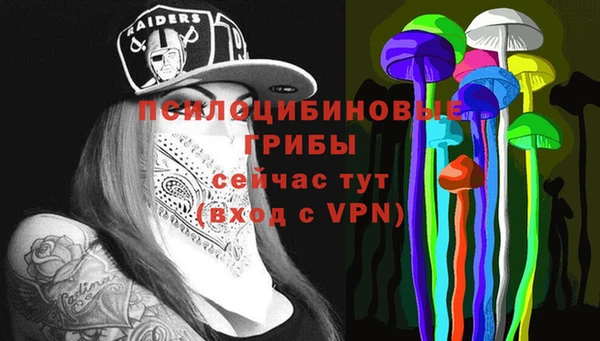 ГАЛЛЮЦИНОГЕННЫЕ ГРИБЫ Липки