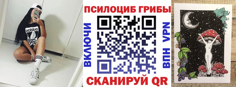 Галлюциногенные грибы Magic Shrooms  это наркотические препараты  Старая Купавна 